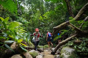 BIB: 
                            <button type="button" onclick="openModal(19407610)" class="btn btn-primary btn-sm float-right btn-popup" data-toggle="modal" data-target=".modal-high-quality">
                        <i class="fas fa-shopping-cart"></i> Add to Cart
                    </button>
                                            <button type="button" onclick="isThisMe(19407610, true)" class="btn btn-success btn-sm float-right btn-popup btn-isme hidden" data-toggle="tooltip" data-placement="bottom" title="นี่คือรูปของคุณใช่ไหม คลิกที่นี่เพื่อเอาเข้าอัลบั้ม">
                        <i class="fas fa-plus"></i> Add to album
                    </button>
                    <button type="button" onclick="isThisMe(19407610, false)" class="btn btn-warning btn-sm float-right btn-popup btn-isnotme hidden">
                        <i class="fas fa-ban"></i> Remove from album
                    </button>